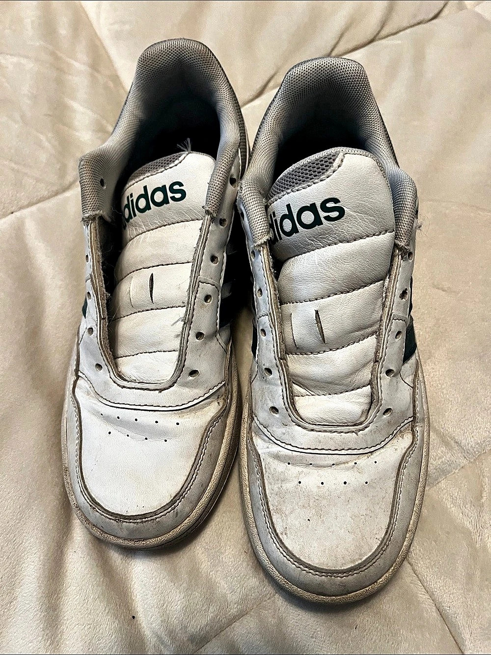 Adidas Hoops 3.0 Low White & Green Sneakers